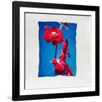 Orchid-null-Framed Photographic Print