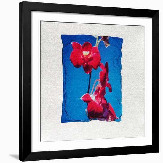 Orchid-null-Framed Photographic Print