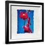 Orchid-null-Framed Photographic Print