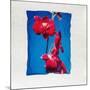 Orchid-null-Mounted Photographic Print