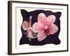 Orchid-null-Framed Photographic Print