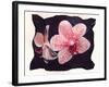 Orchid-null-Framed Photographic Print