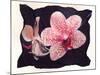 Orchid-null-Mounted Photographic Print