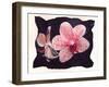 Orchid-null-Framed Photographic Print