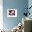 Orchid-null-Framed Photographic Print displayed on a wall
