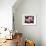 Orchid-null-Framed Photographic Print displayed on a wall