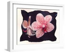 Orchid-null-Framed Photographic Print