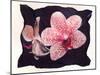 Orchid-null-Mounted Photographic Print