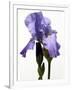 Orchid-Karen Williams-Framed Photographic Print