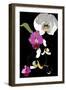 Orchid-Anna Platts-Framed Giclee Print