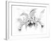 Orchid-Maria Trad-Framed Giclee Print