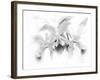 Orchid-Maria Trad-Framed Giclee Print