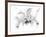 Orchid-Maria Trad-Framed Giclee Print