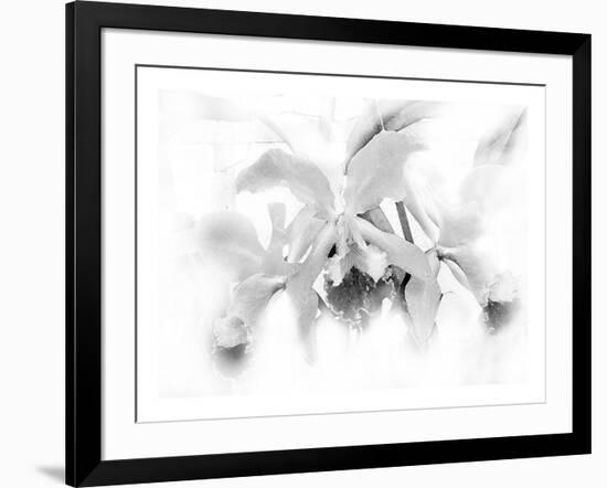 Orchid-Maria Trad-Framed Giclee Print