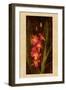 Orchid-John Seba-Framed Art Print