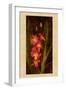 Orchid-John Seba-Framed Art Print