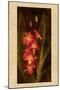 Orchid-John Seba-Mounted Art Print