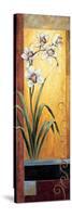 Orchid-Jill Deveraux-Stretched Canvas