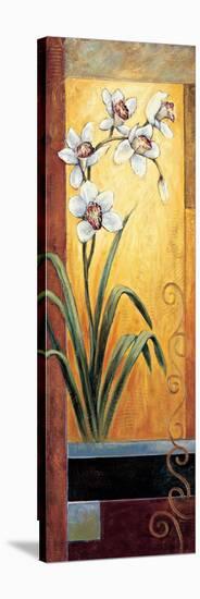 Orchid-Jill Deveraux-Stretched Canvas