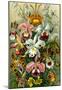 Orchidae Nature Art Print Poster by Ernst Haeckel-null-Mounted Poster