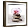 Orchidee aux Galets-Stephane De Bourgies-Framed Art Print