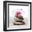 Orchidee aux Galets-Stephane De Bourgies-Framed Art Print