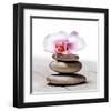 Orchidee aux Galets-Stephane De Bourgies-Framed Art Print