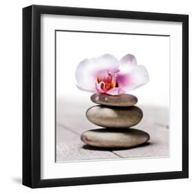 Orchidee aux Galets-Stephane De Bourgies-Framed Art Print