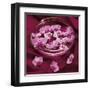 Orchidee et Eau-Amelie Vuillon-Framed Art Print