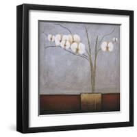 Orchidee I-H^ Alves-Framed Giclee Print