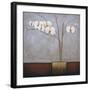 Orchidee I-H^ Alves-Framed Giclee Print