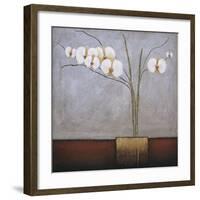 Orchidee I-H^ Alves-Framed Giclee Print