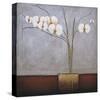 Orchidee I-H Alves-Stretched Canvas