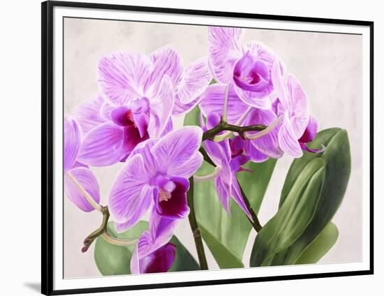 Orchidee selvagge-Sergio Jannace-Framed Art Print