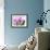 Orchidee selvagge-Sergio Jannace-Framed Art Print displayed on a wall