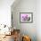 Orchidee selvagge-Sergio Jannace-Framed Art Print displayed on a wall