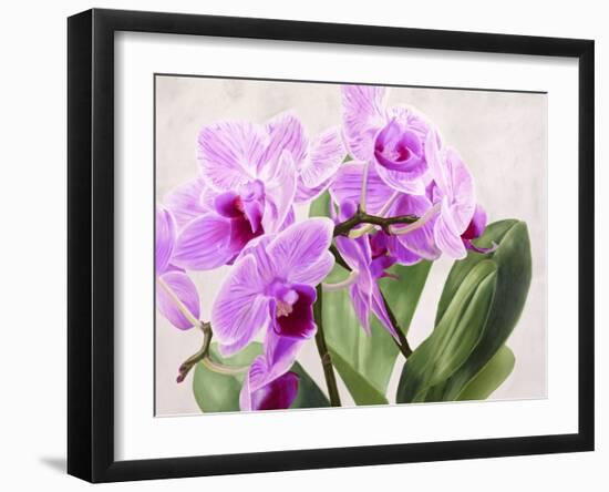 Orchidee selvagge-Sergio Jannace-Framed Art Print