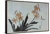 Orchidées orange-Katsushika Hokusai-Framed Stretched Canvas