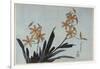 Orchidées orange-Katsushika Hokusai-Framed Giclee Print