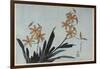 Orchidées orange-Katsushika Hokusai-Framed Giclee Print