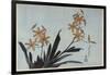 Orchidées orange-Katsushika Hokusai-Framed Giclee Print