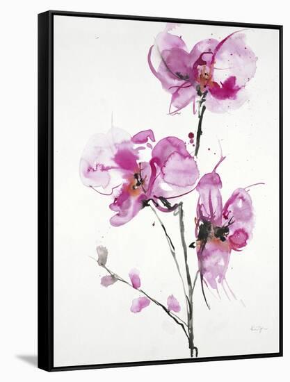 Orchids 1-Karin Johannesson-Framed Stretched Canvas