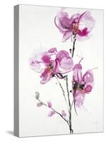 Orchids 1-Karin Johannesson-Stretched Canvas
