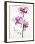 Orchids 1-Karin Johannesson-Framed Art Print