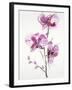 Orchids 1-Karin Johannesson-Framed Art Print