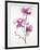 Orchids 1-Karin Johannesson-Framed Art Print