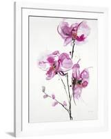 Orchids 1-Karin Johannesson-Framed Art Print