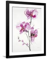 Orchids 1-Karin Johannesson-Framed Art Print