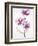 Orchids 1-Karin Johannesson-Framed Art Print