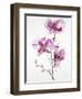 Orchids 1-Karin Johannesson-Framed Art Print